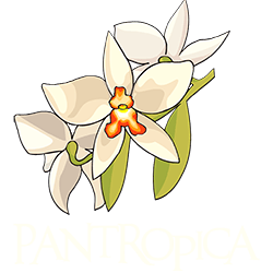 Logo Pantropica