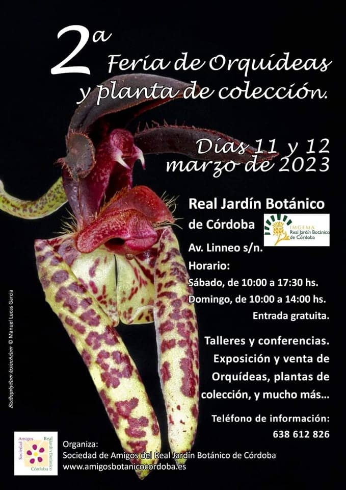 Cartel de la 2º Feria de Orquídeas del jardín Botánico de Córdoba