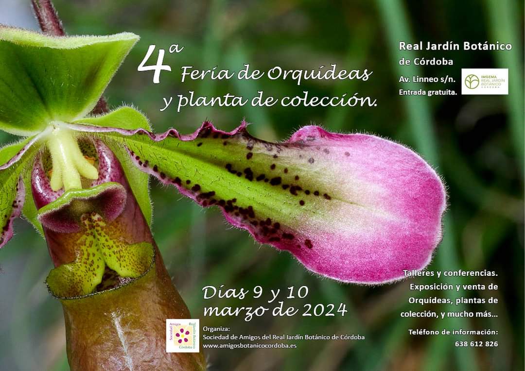 4ª Feria de orquideas y plantas de coleccion
